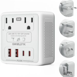 GWINLLYYK 2000W 220V-to-110V Voltage Converter product image