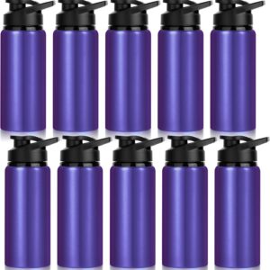 LYDTICK 10-Pack 20 oz Aluminum Water Bottles (Purple) product image
