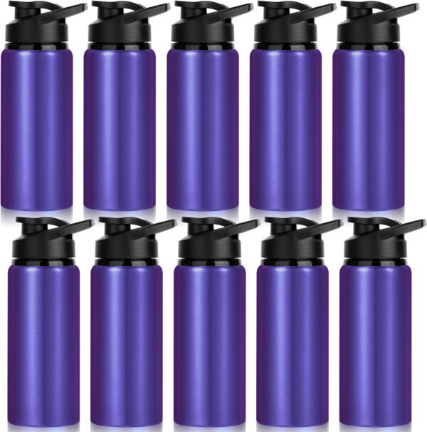 LYDTICK 10-Pack 20 oz Aluminum Water Bottles (Purple) LYDTICK 10-Pack 20 oz Aluminum Water Bottles (Purple) product image