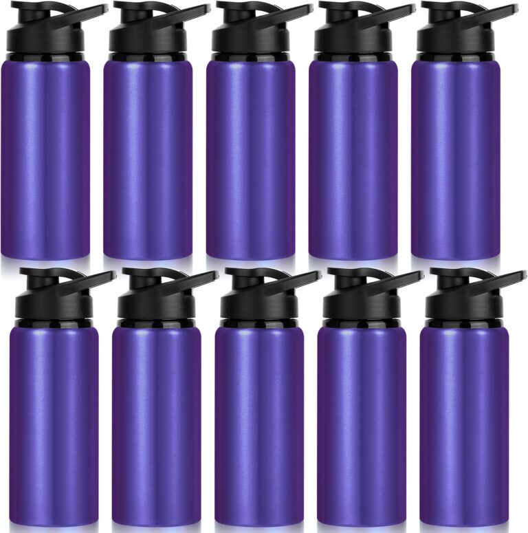 LYDTICK 10-Pack 20 oz Aluminum Water Bottles (Purple) product image